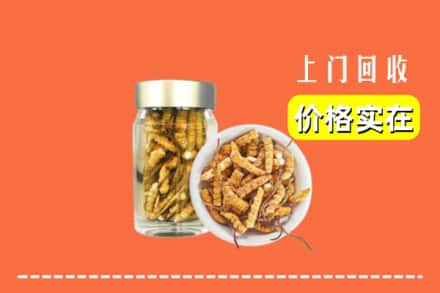 遵义仁怀市回收散虫草