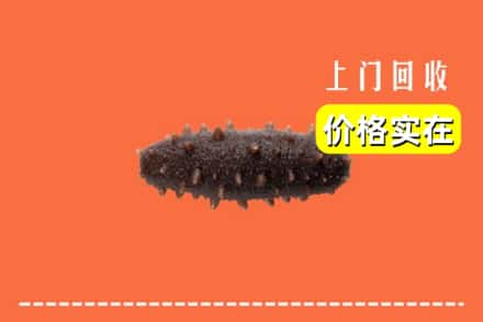 遵义仁怀市回收海参