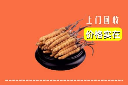遵义仁怀市回收冬虫夏草