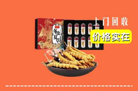 遵义仁怀市回收虫草
